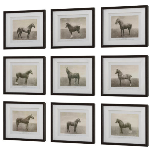 Equine Dynasty Art