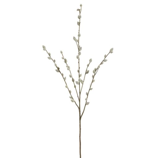 Pussy Willow Spray (31")