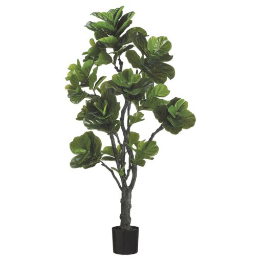 Eva Fiddle Leaf Plant (6')