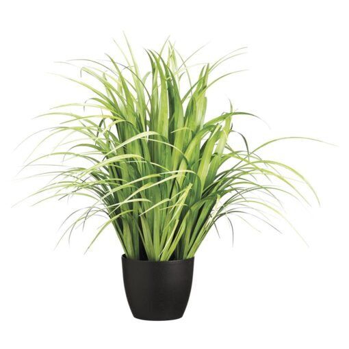 Reed Grass (38")